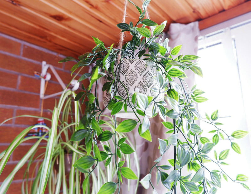 Set of 3 Hanging Ceramic Flower Plant Pot House Indoor Outdoor Houseplant Garden