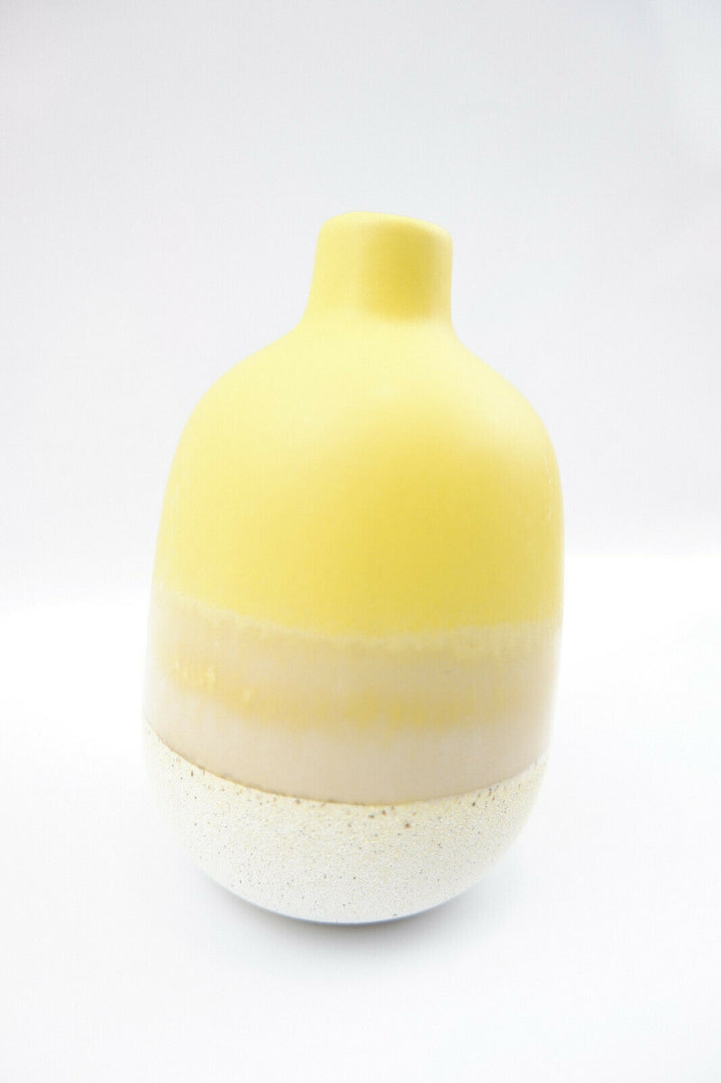 Sass & Belle Mojave Glaze Vases Flower Vase Holder Home Decoration