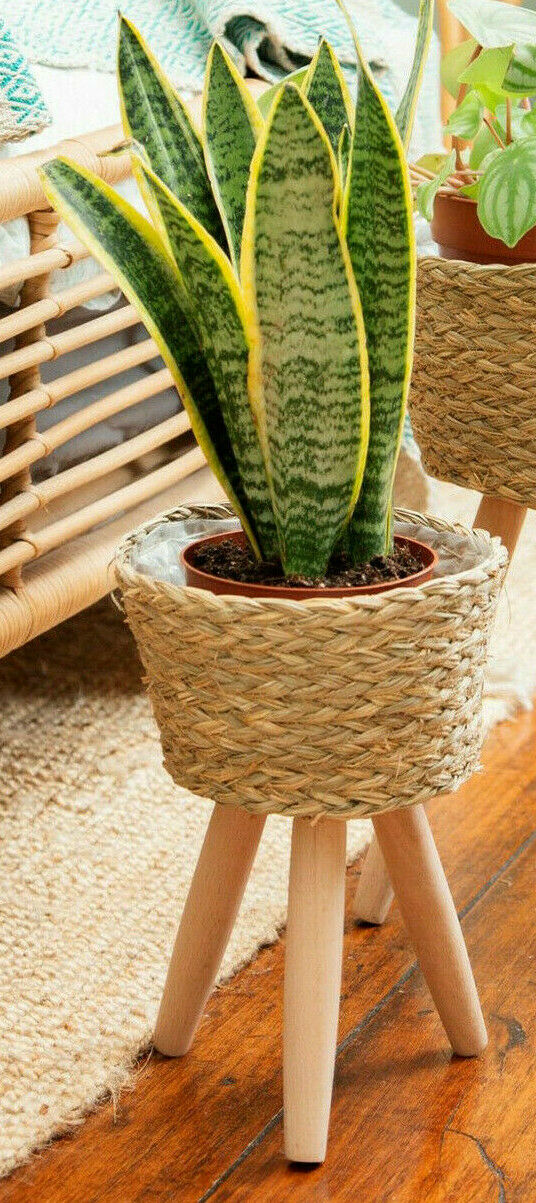 Sass & Belle Basket Planter On Legs Small Plant Pot Storage