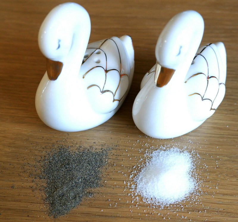 Sass and Belle Novelty Ceramic Salt & Pepper Shaker Pot Condiment Set Table Gift