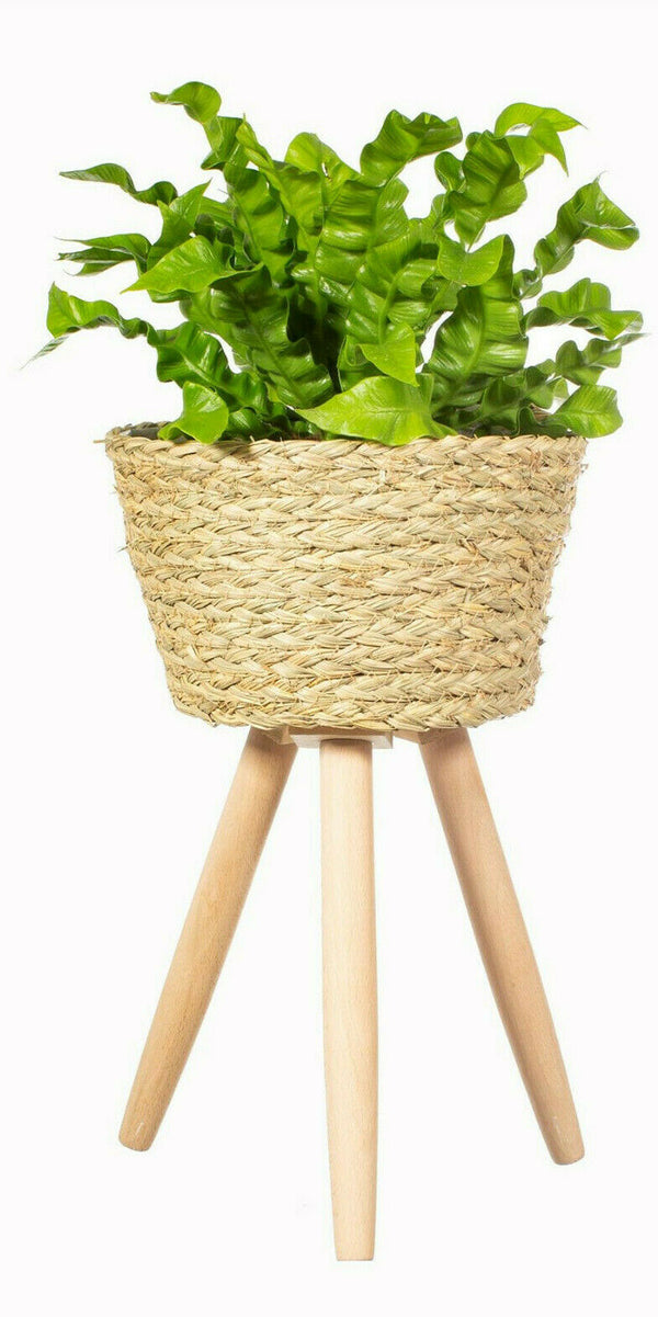 Sass & Belle Basket Planter on Legs Large Plant Holder Storage Flower