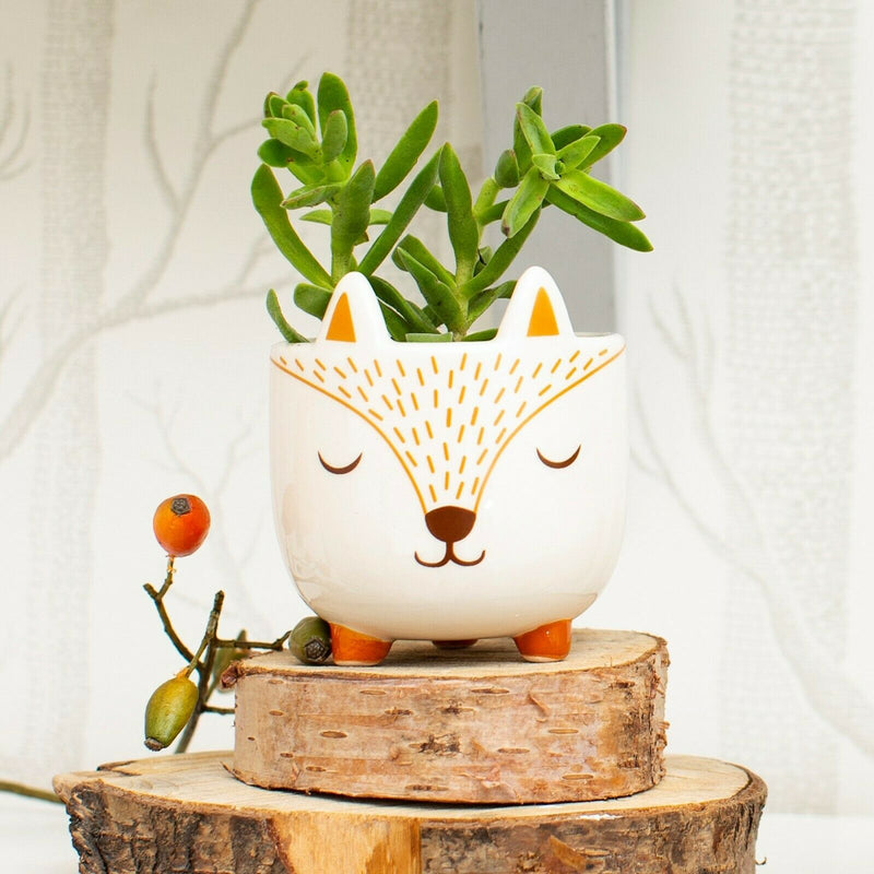 Sass and Belle Mini Woodland Fox Planter Gift Decor Home Plant Flowerpot