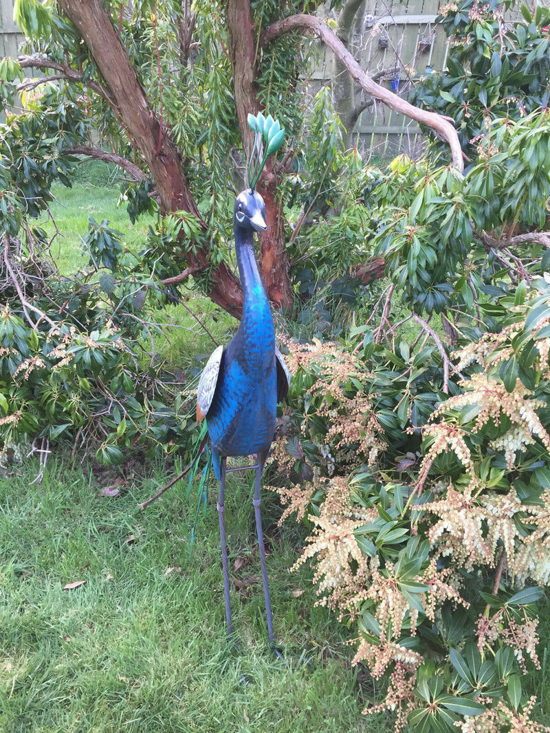 Primus Standing Peacock Hand Crafted Metal Garden Bird Ornament Sculpture PQ1505