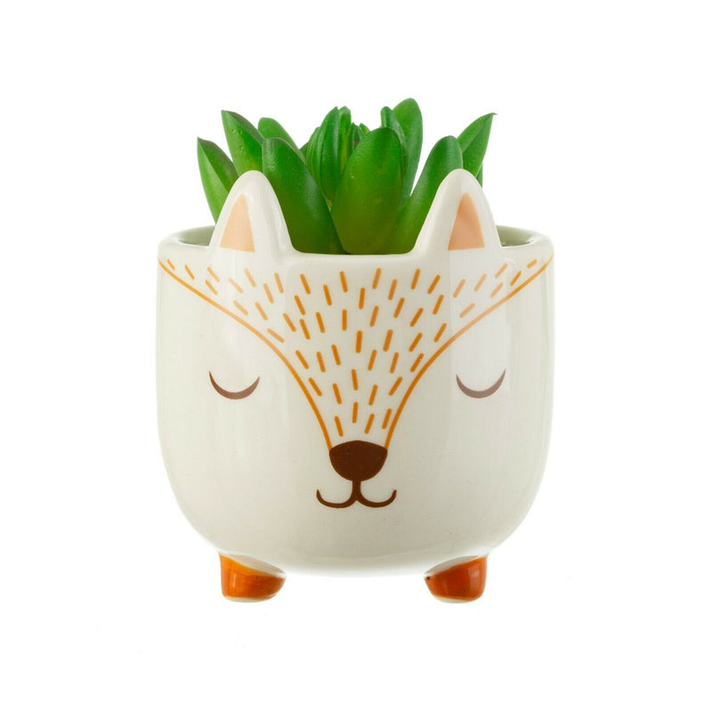 Sass and Belle Mini Woodland Fox Planter Gift Decor Home Plant Flowerpot