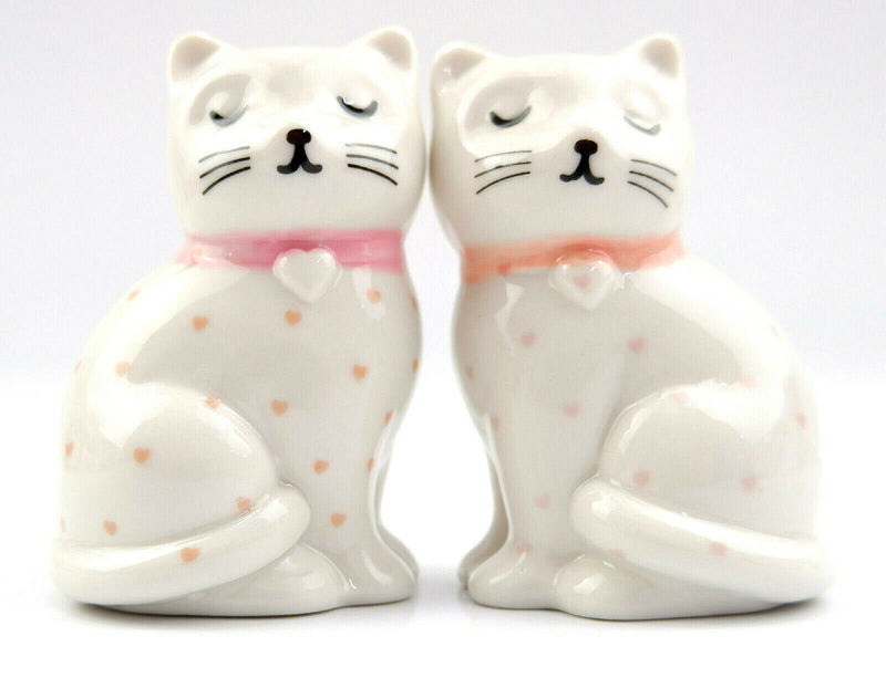 Sass and Belle Novelty Ceramic Salt & Pepper Shaker Pot Condiment Set Table Gift
