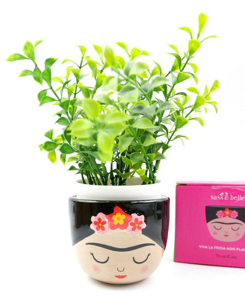 Sass & Belle Mini Small Frida Kahlo Face Planter Flower Plant Pot Home Decor